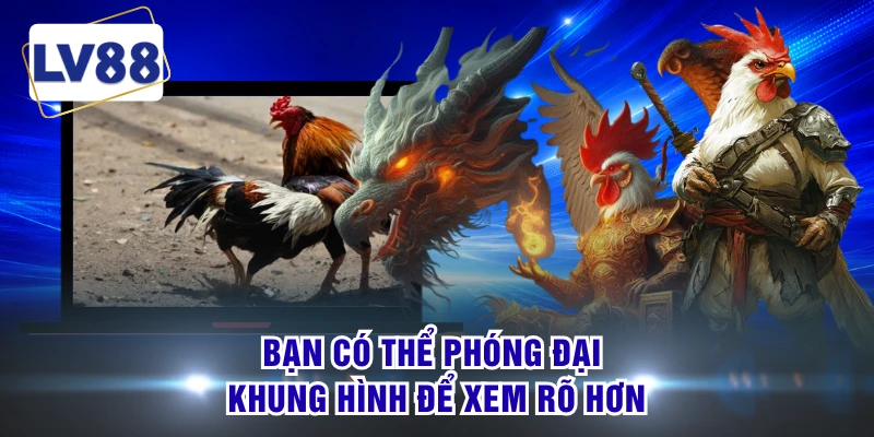 Bạn có thể phóng đại khung hình để xem rõ hơn
