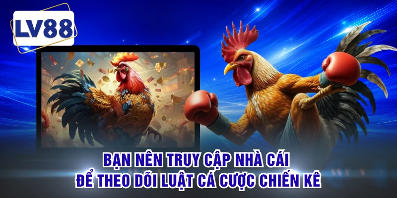 Bạn nên truy cập nhà cái để theo dõi luật cá cược chiến kê