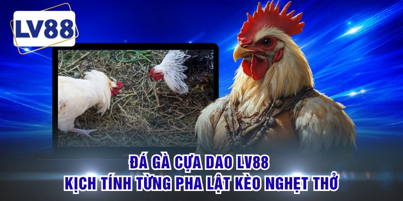 Đá Gà Cựa Dao LV88 Kịch Tính Từng Pha Lật Kèo Nghẹt Thở