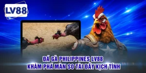 Đá Gà Philippines LV88 Khám Phá Màn So Tài Đầy Kịch Tính