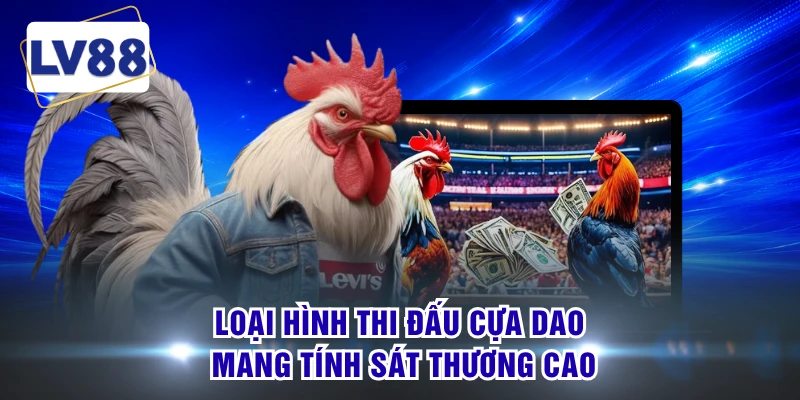 Loại hình thi đấu cựa dao mang tính sát thương cao