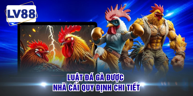 Luật đá gà được nhà cái quy định chi tiết
