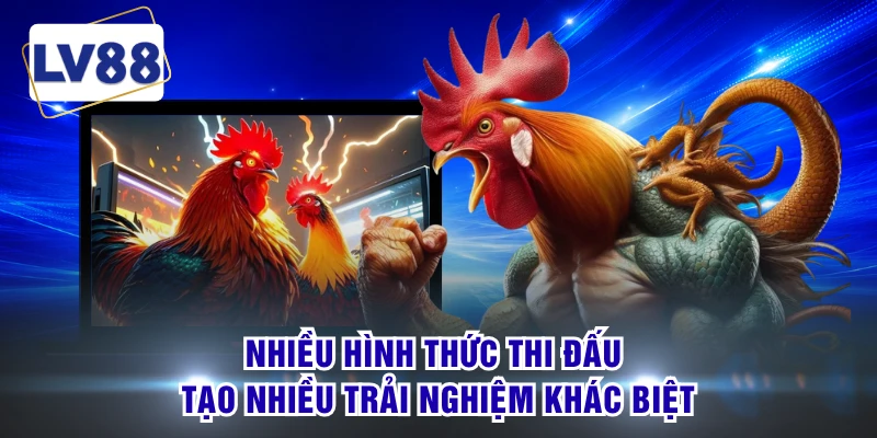 Nhiều hình thức thi đấu tạo nhiều trải nghiệm khác biệt