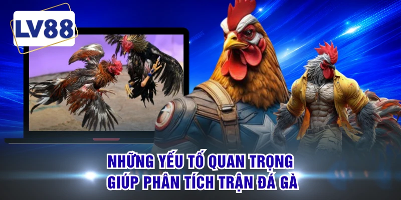 Những yếu tố quan trọng giúp phân tích trận đá gà 