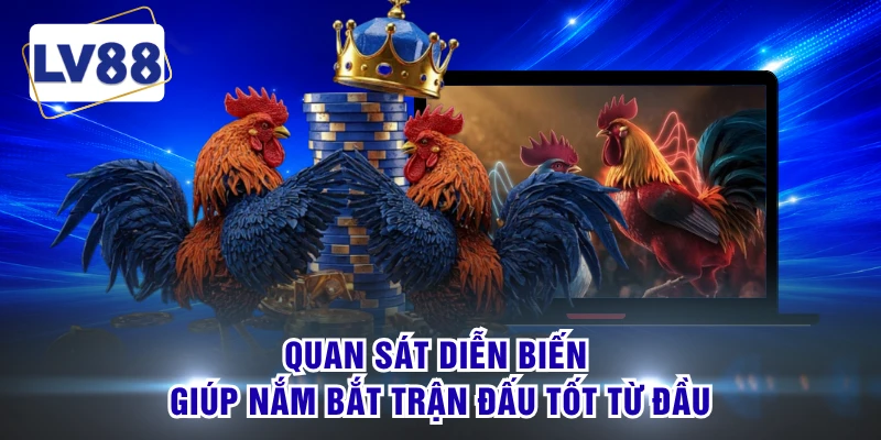 Quan sát diễn biến giúp nắm bắt trận đấu tốt từ đầu